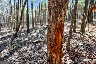 175 Thornton Road, Franklin, GA 30217 - Photo 111