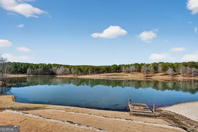 175 Thornton Road, Franklin, GA 30217 - Photo 85