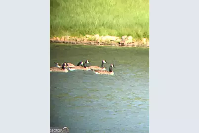 175 Thornton Road, Franklin, GA 30217 - Photo 109