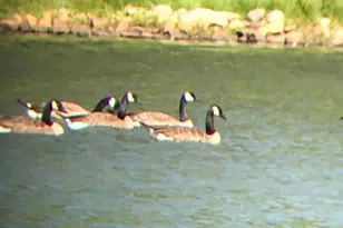 175 Thornton Rd, Franklin, GA 30217 - Photo 109