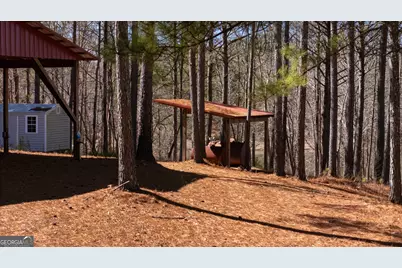 175 Thornton Road, Franklin, GA 30217 - Photo 77