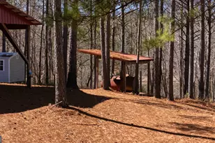 175 Thornton Rd, Franklin, GA 30217 - Photo 77