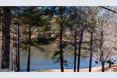175 Thornton Road, Franklin, GA 30217 - Photo 99