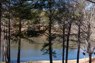 175 Thornton Rd, Franklin, GA 30217 - Photo 99