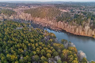 175 Thornton Rd, Franklin, GA 30217 - Photo 89