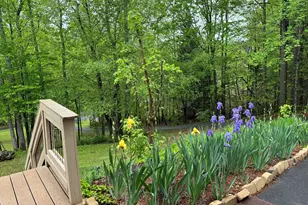 255 Prairie Flower Dr, Cleveland, GA 30528 - Photo 73