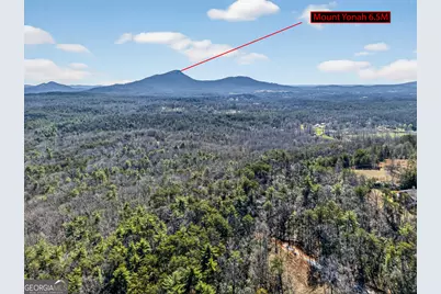 116 Farmette Drive, Cleveland, GA 30528 - Photo 55