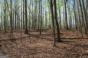 2315 Stonepile Rd, Clarkesville, GA 30523 - Photo 1