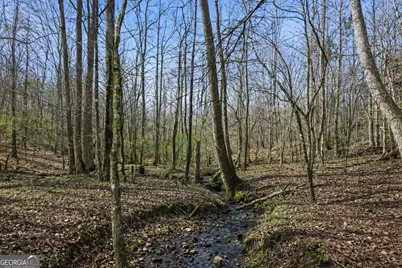 2315 Stonepile Road #LOT 4, Clarkesville, GA 30523 - Photo 9
