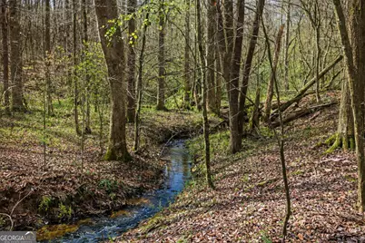 2315 Stonepile Road #LOT 4, Clarkesville, GA 30523 - Photo 3