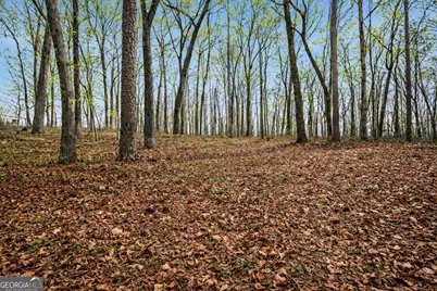 2315 Stonepile Road #LOT 4, Clarkesville, GA 30523 - Photo 13