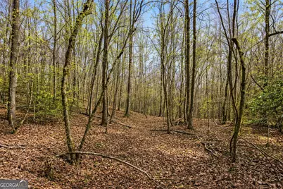 2315 Stonepile Road #LOT 4, Clarkesville, GA 30523 - Photo 15
