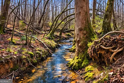 2315 Stonepile Road #LOT 4, Clarkesville, GA 30523 - Photo 19