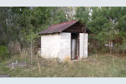 2837 Highway 56, Midville, GA 30441 - Photo 3