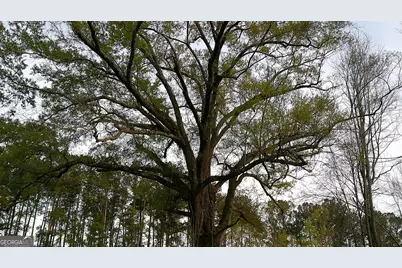 2837 Highway 56, Midville, GA 30441 - Photo 7