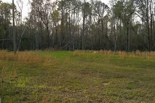 2837 Hwy 56, Midville, GA 30441 - Photo 1