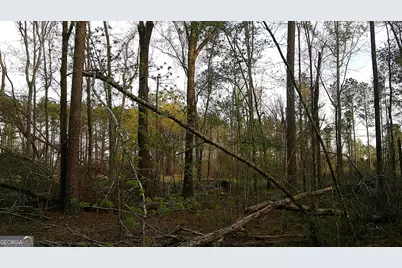 2837 Highway 56, Midville, GA 30441 - Photo 5