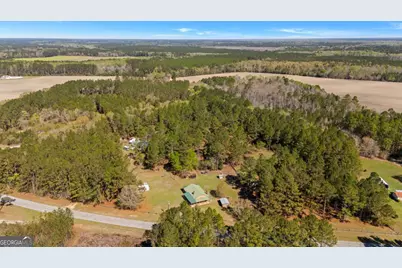 5048 Clyo Kildare Road, Clyo, GA 31303 - Photo 61