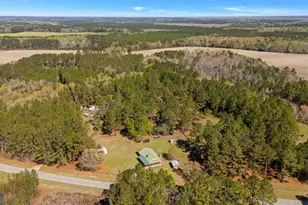 5048 Clyo-Kildare Rd, Clyo, GA 31303 - Photo 61