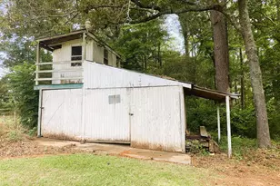 4170 Hollonville Rd, Williamson, GA 30292 - Photo 71