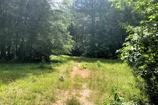 4170 Hollonville Rd, Williamson, GA 30292 - Photo 81