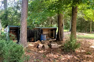 4170 Hollonville Rd, Williamson, GA 30292 - Photo 93