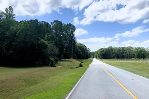 4170 Hollonville Rd, Williamson, GA 30292 - Photo 115