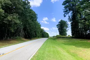 4170 Hollonville Rd, Williamson, GA 30292 - Photo 119