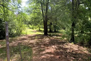 4170 Hollonville Rd, Williamson, GA 30292 - Photo 67