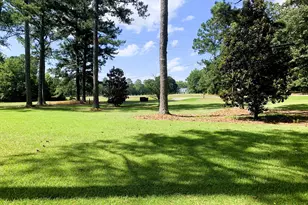 4170 Hollonville Rd, Williamson, GA 30292 - Photo 99