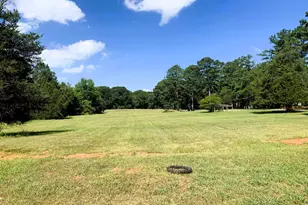 4170 Hollonville Rd, Williamson, GA 30292 - Photo 79