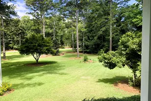 4170 Hollonville Rd, Williamson, GA 30292 - Photo 105