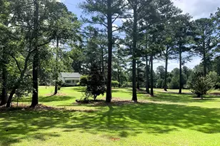 4170 Hollonville Rd, Williamson, GA 30292 - Photo 121