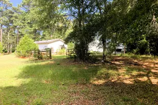 4170 Hollonville Rd, Williamson, GA 30292 - Photo 77