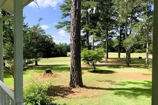 4170 Hollonville Rd, Williamson, GA 30292 - Photo 107