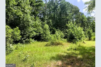4170 Hollonville Road, Williamson, GA 30292 - Photo 75