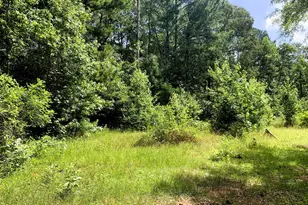 4170 Hollonville Rd, Williamson, GA 30292 - Photo 69