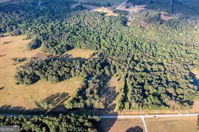 4170 Hollonville Road, Williamson, GA 30292 - Photo 123