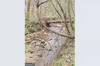 404 Blue Store Road, Forsyth, GA 31029 - Photo 67