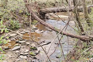 404 Blue Store Rd, Forsyth, GA 31029 - Photo 67