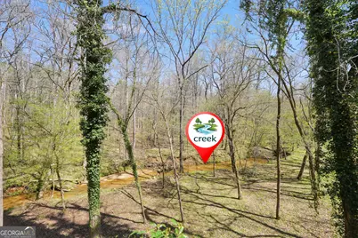 404 Blue Store Road, Forsyth, GA 31029 - Photo 59