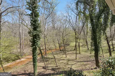 404 Blue Store Road, Forsyth, GA 31029 - Photo 61