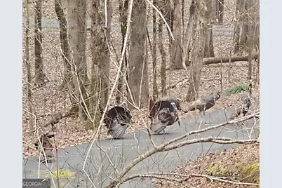 404 Blue Store Road, Forsyth, GA 31029 - Photo 65