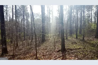 0 Stagecoach Road #20.17 ACRES, Stockbridge, GA 30281 - Photo 3