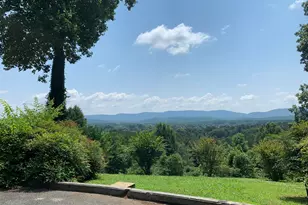 130 Apple Blossom Ln, Summerville, GA 30747 - Photo 3