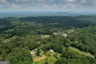 130 Apple Blossom Ln, Summerville, GA 30747 - Photo 49