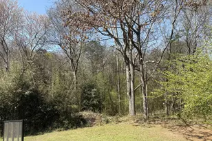 3830 Hwy 41 N, Resaca, GA 30735 - Photo 93