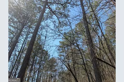 637 Minardi Drive, Hogansville, GA 30230 - Photo 9