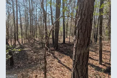 637 Minardi Drive, Hogansville, GA 30230 - Photo 13