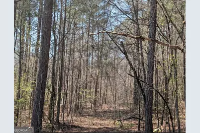 637 Minardi Drive, Hogansville, GA 30230 - Photo 15